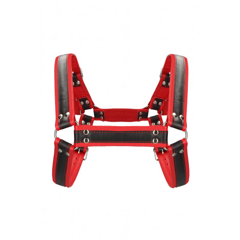 Harnais Buckle Bulldog rouge - Ouch!