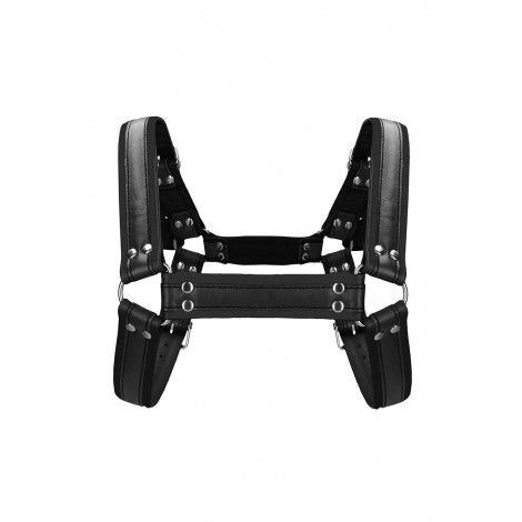 Harnais Buckle Bulldog noir - Ouch!